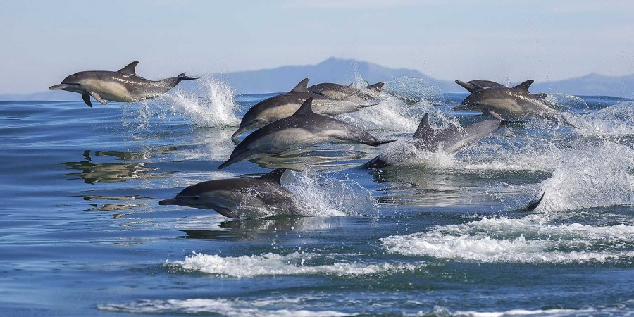 Mansa Sea Tourism